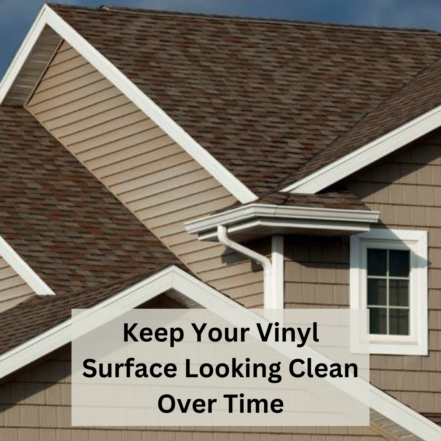 Vinyl Surface Home